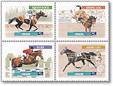 Address Stamp Horse 40 mm