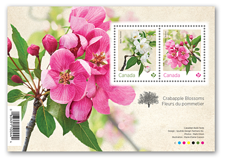 Bloc-feuillet de 2 timbres - Fleurs du pommetier