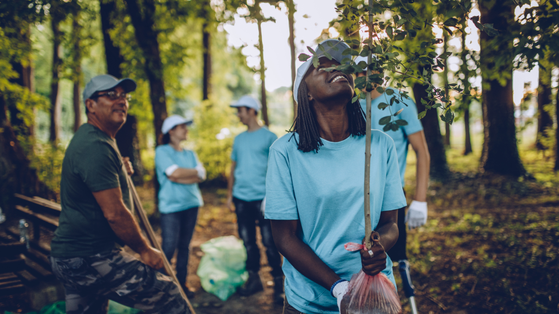 A young woman in a blue t-shirt and hat looks up at the tree sapling she is planting.