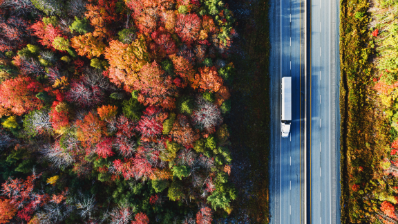 Un camion blanc roule sur une autoroute rurale entourée d’arbres denses et colorés à l’automne.