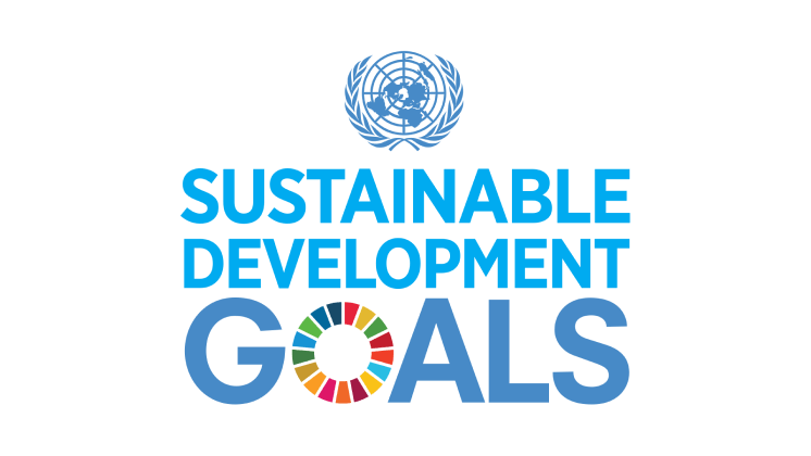 Logo des objectifs de développement durable des Nations Unies.