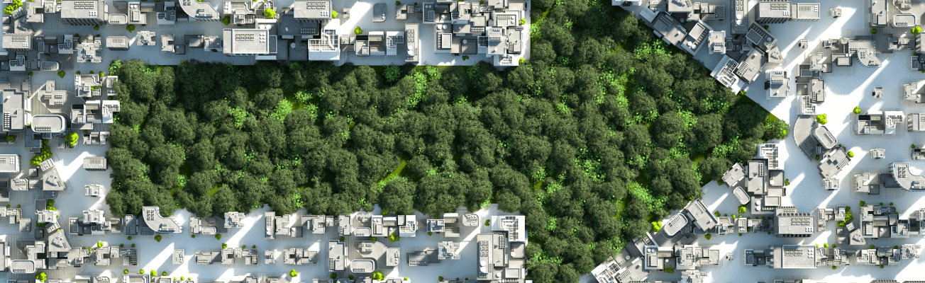 An aerial view of green space shaped like an arrow set amongst housing.