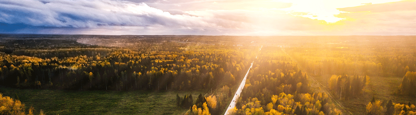 Aerial view of the sun setting over an autumnal forest.