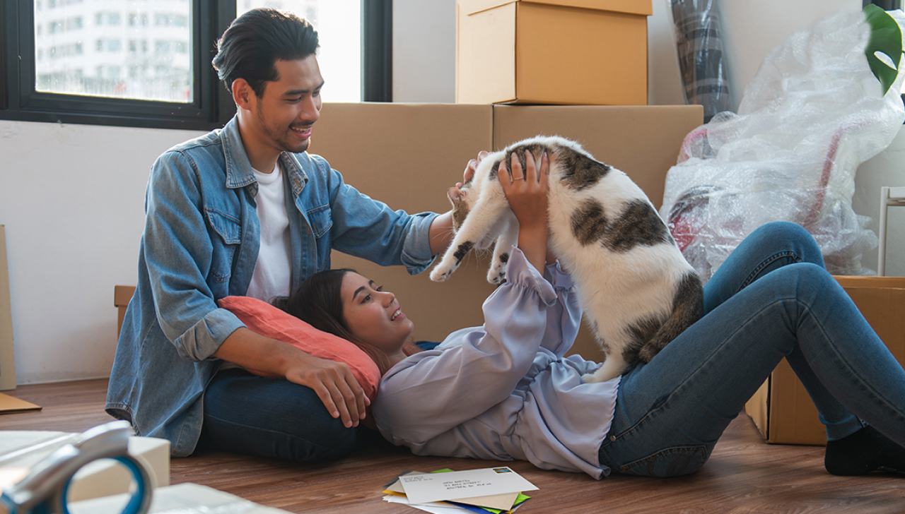 Un couple souriant joue avec un chat par terre. Il y a une pile de courrier à côté d’eux et des boîtes en carton empilées en arrière-plan.